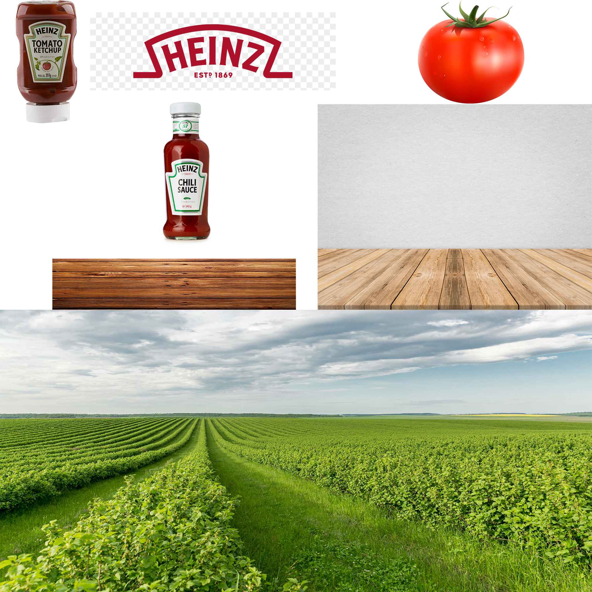 تصميم سوشيال ميديا احترافى