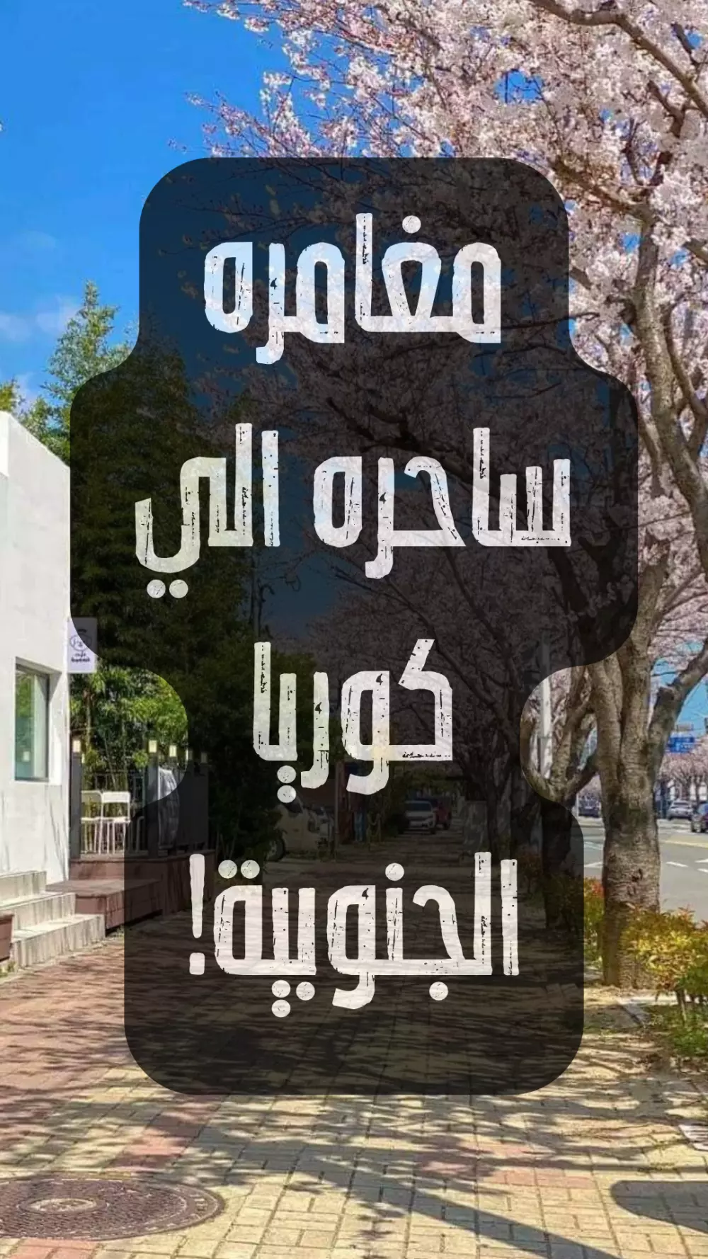 مغامره الي كوريا الجنوبيه لمده 10 ايام