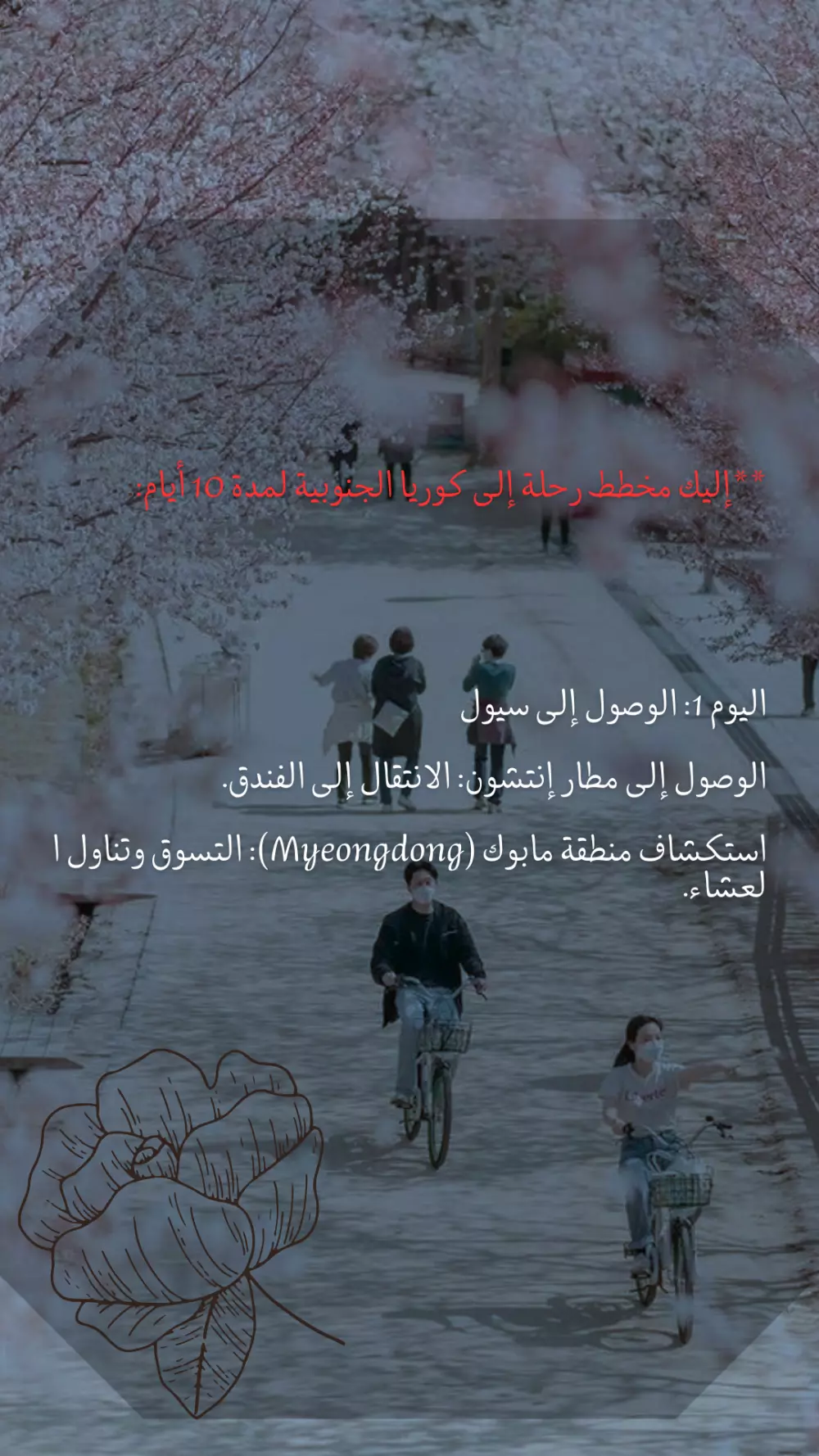 مغامره الي كوريا الجنوبيه لمده 10 ايام