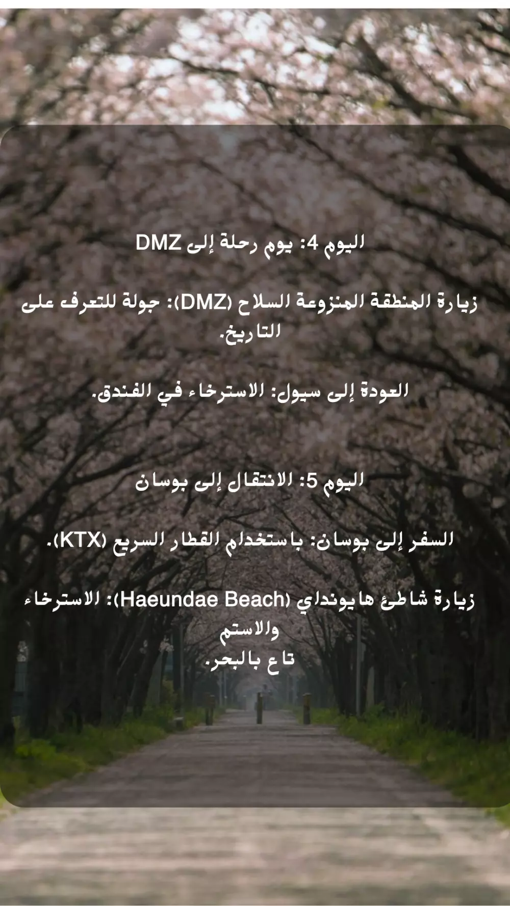 مغامره الي كوريا الجنوبيه لمده 10 ايام