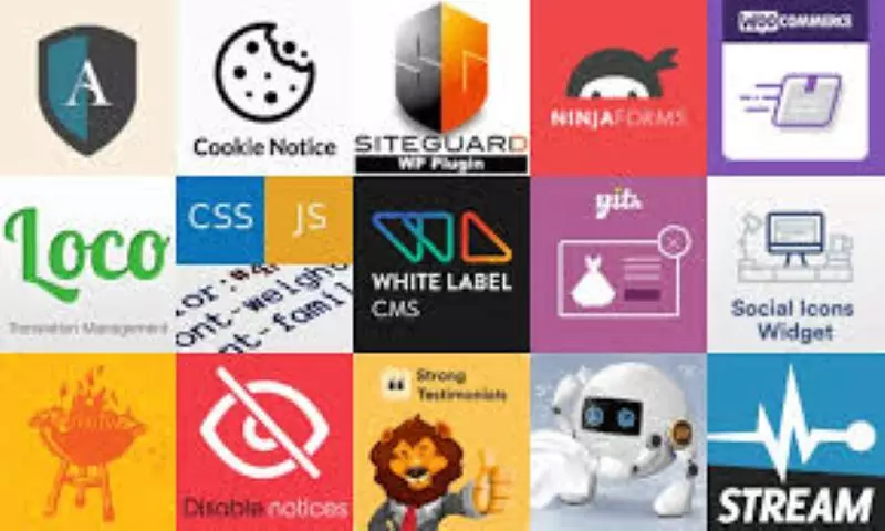 تثبيت و تشغيل plugin للووربريس