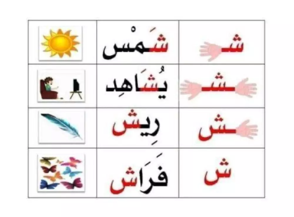 تعليم لغة عربية