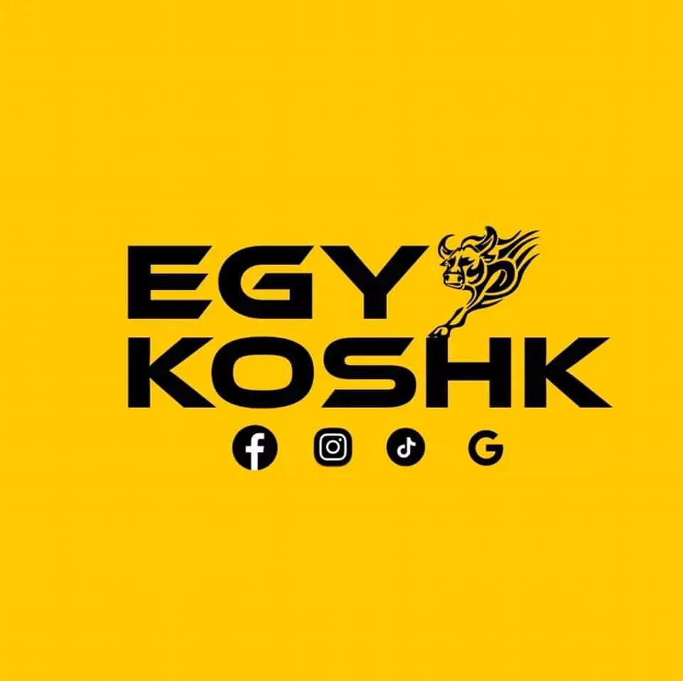 تصميم شعار احترافي