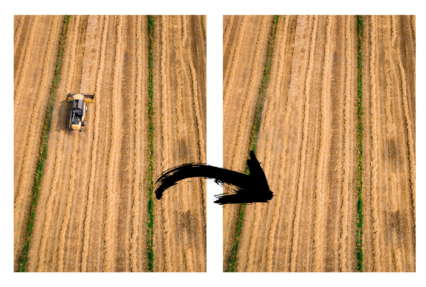 هوية موثقة أزالة أي شئ غير مرغوب به في الصور