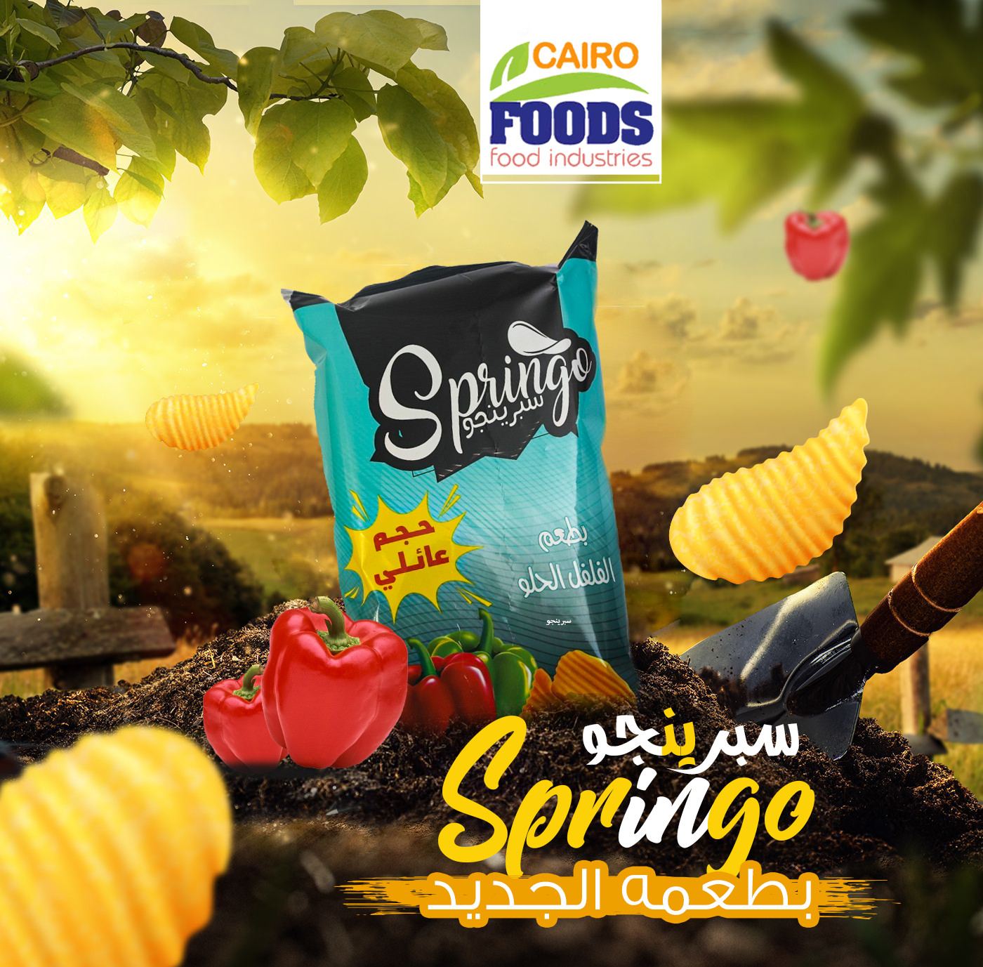 سأقوم بتصميم سوشال ميديا عدد 2