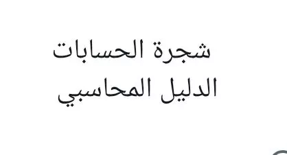اعداد الشجرة المحاسبية والدليل المحاسبي