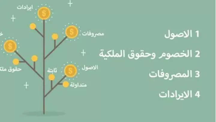 اعداد الشجرة المحاسبية والدليل المحاسبي