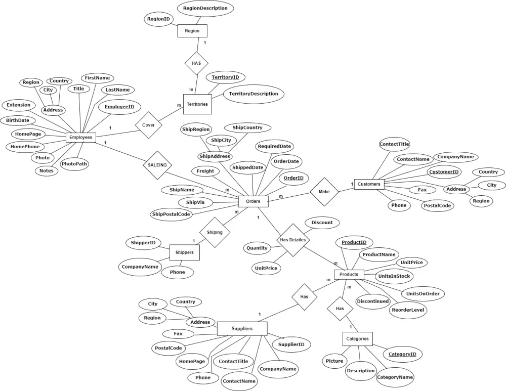 تصميم وتطوير وتغذية قواعد البيانات Database
