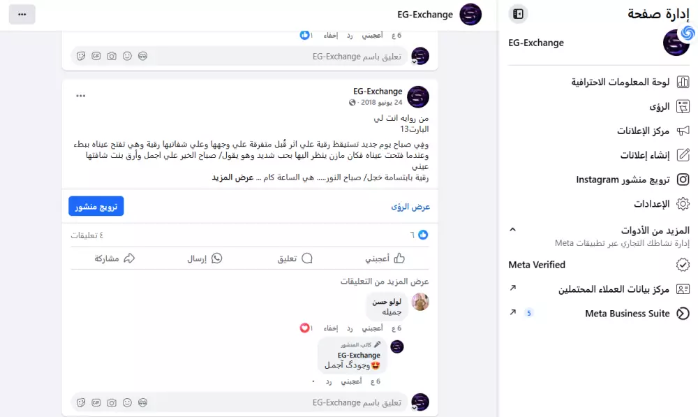 إدارة احترافية لصفحات التواصل الاجتماعي