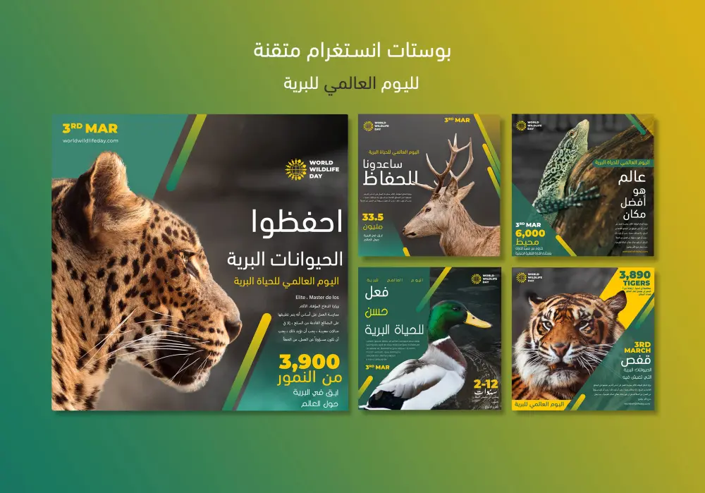 تصميم بوستات سوشيال ميديا احترافي ومميز