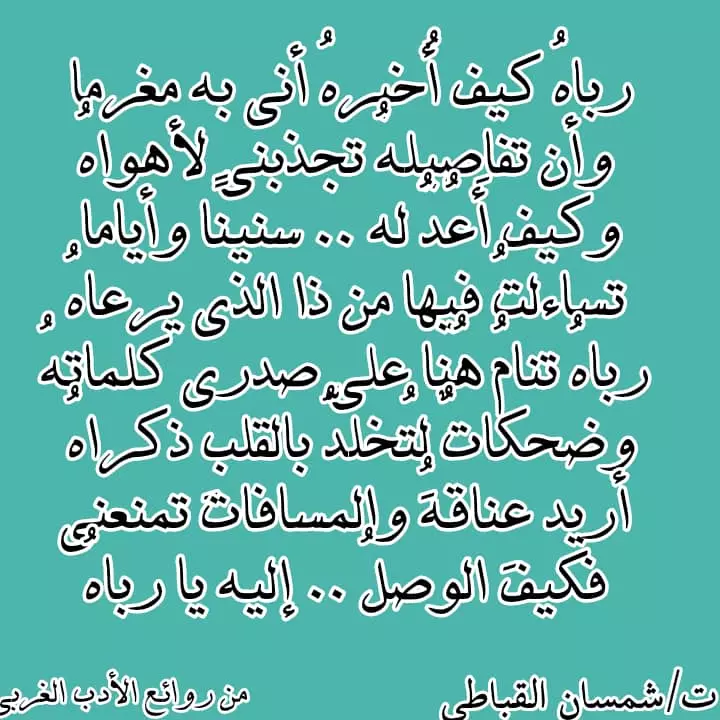 عمل فيديو شرح صوتي للموقع