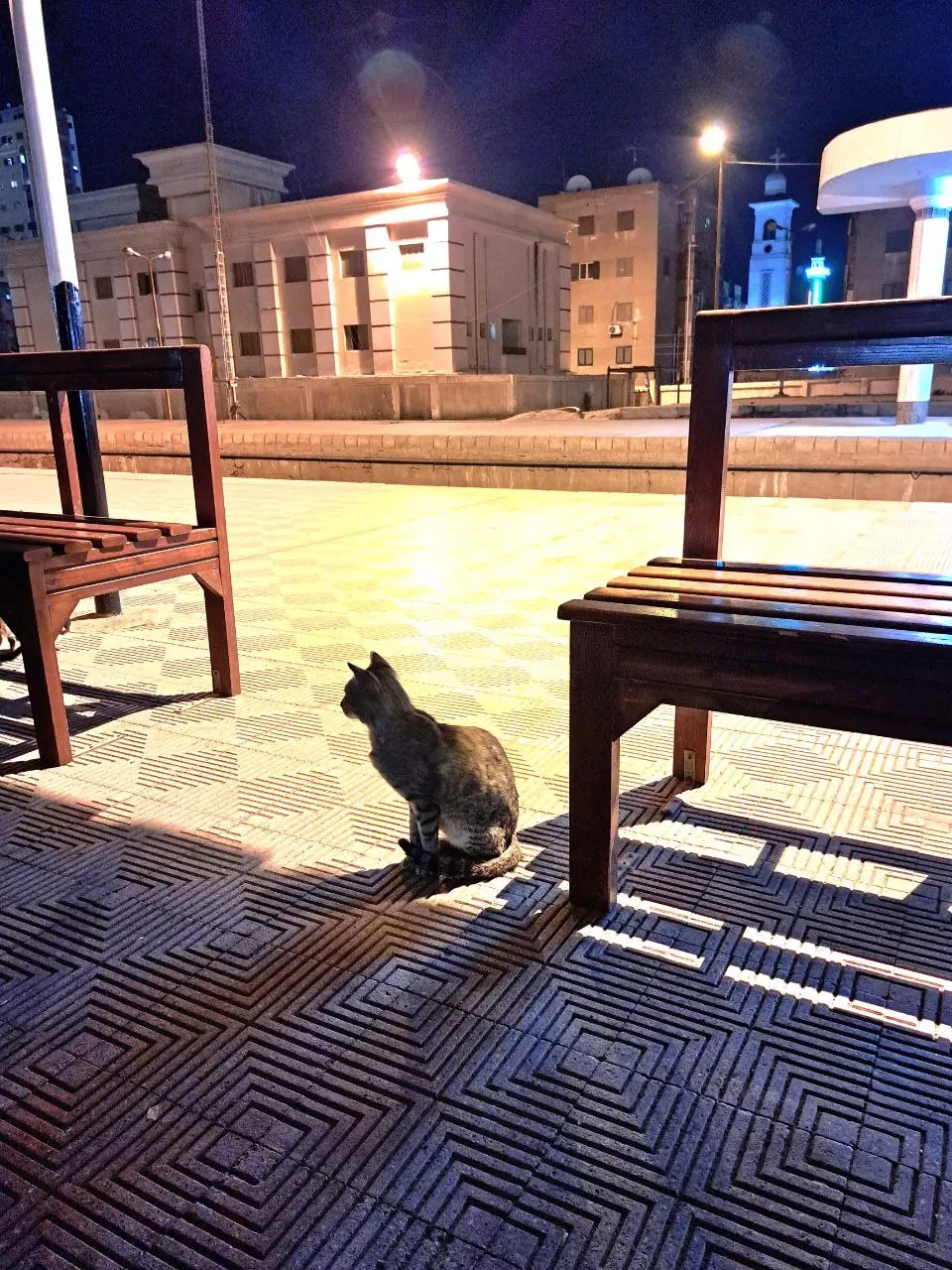 تعديل احترافي على الصور.