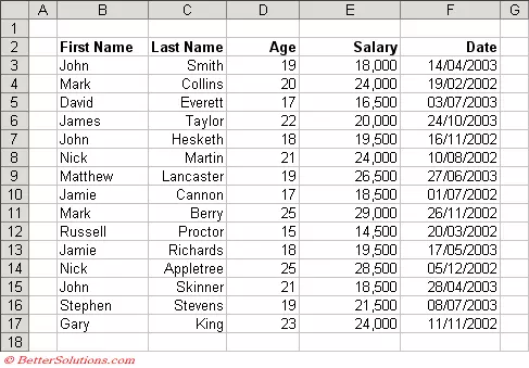 ادخال البيانات وتنسيقها علي برنامج اكسل - Excel Data Entry