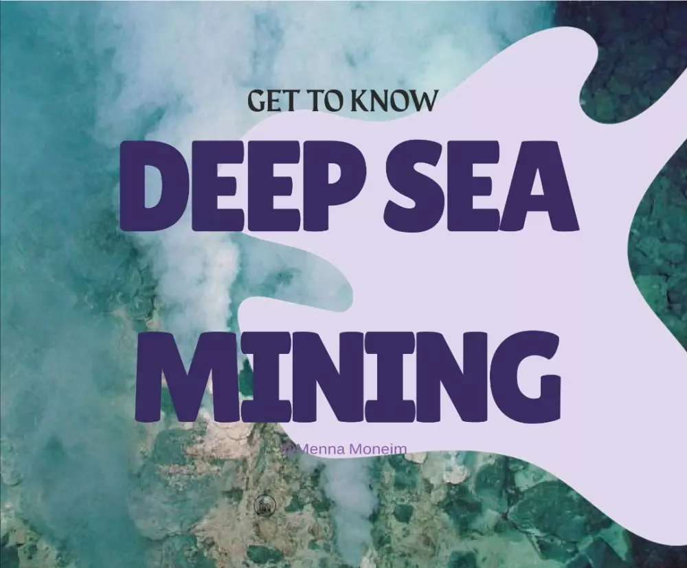 تصميم مقالات سوشيال ميديا جذابة واحترافية (Adobe + تنسيق مميز)