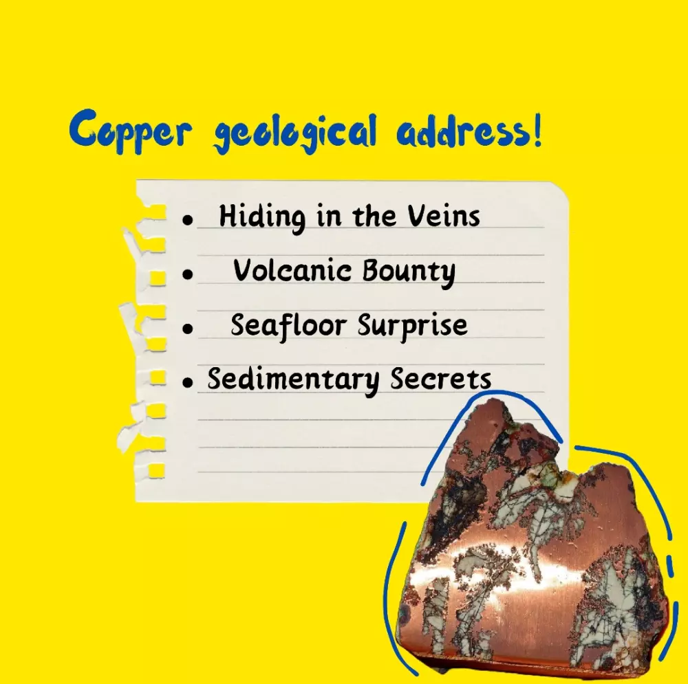 تصميم مقالات سوشيال ميديا جذابة واحترافية (Adobe + تنسيق مميز)