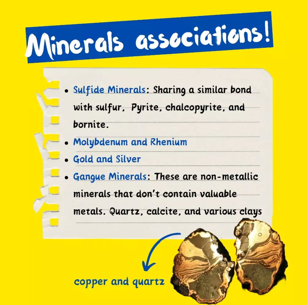 تصميم مقالات سوشيال ميديا جذابة واحترافية (Adobe + تنسيق مميز)