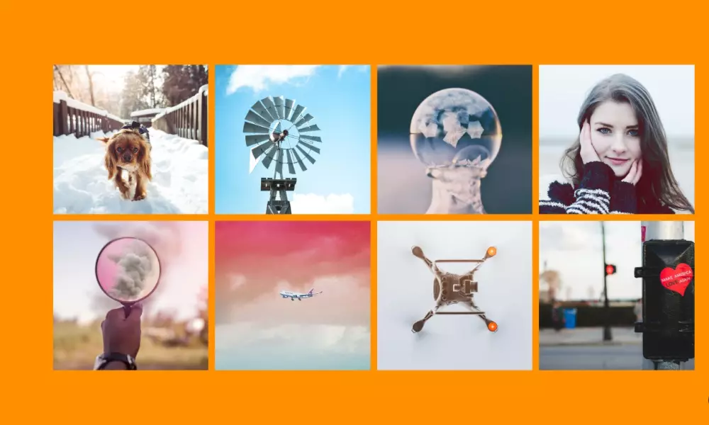 إنشاء معرض أعمال Portfolio