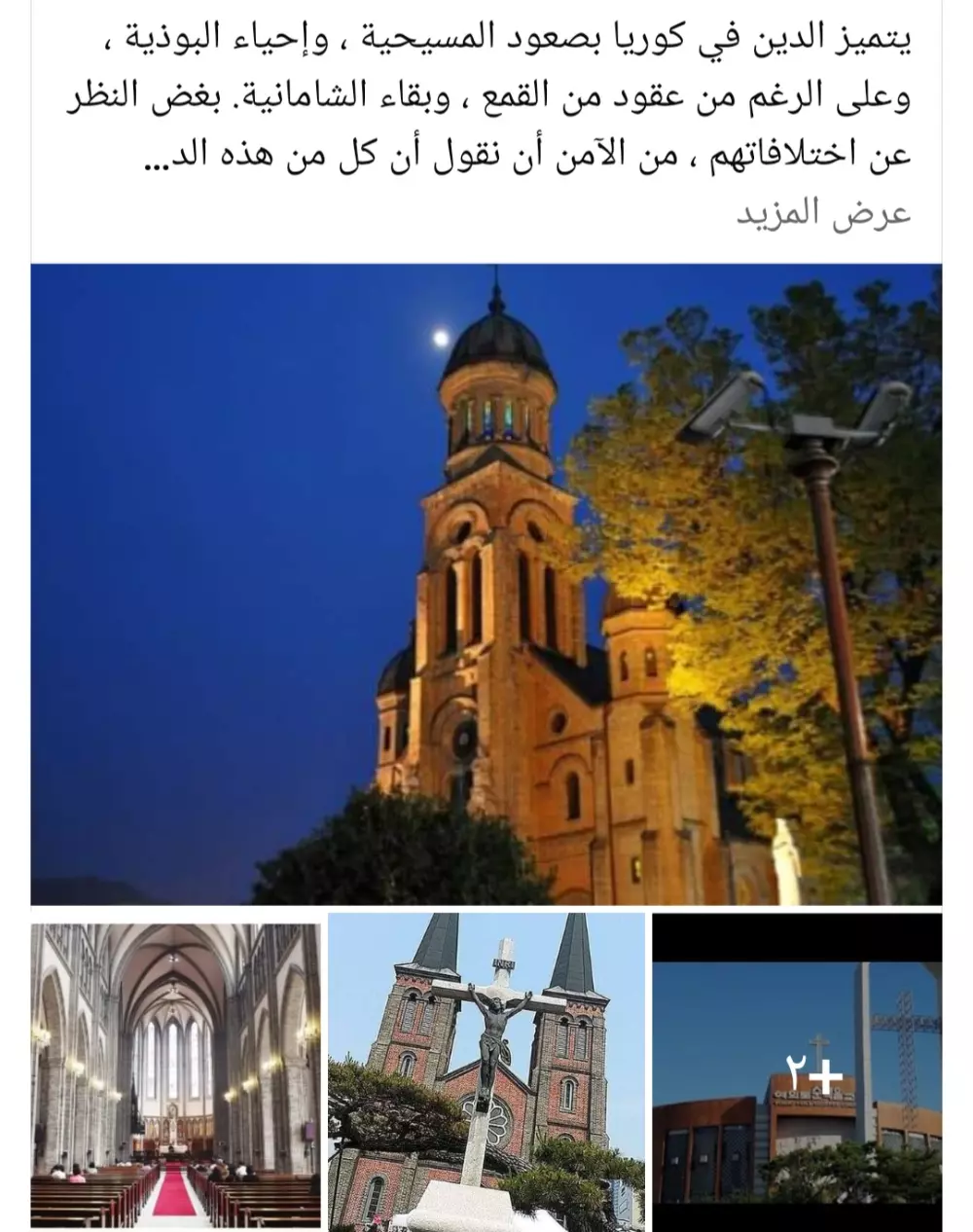 كتابة مقالات في مختلف التخصصات