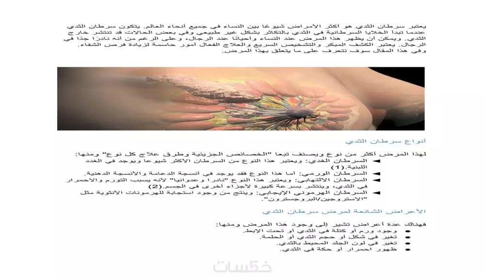 كتابة مقالات احترافية ومتوافقة مع قواعدseo على بلوجر والووردبريس