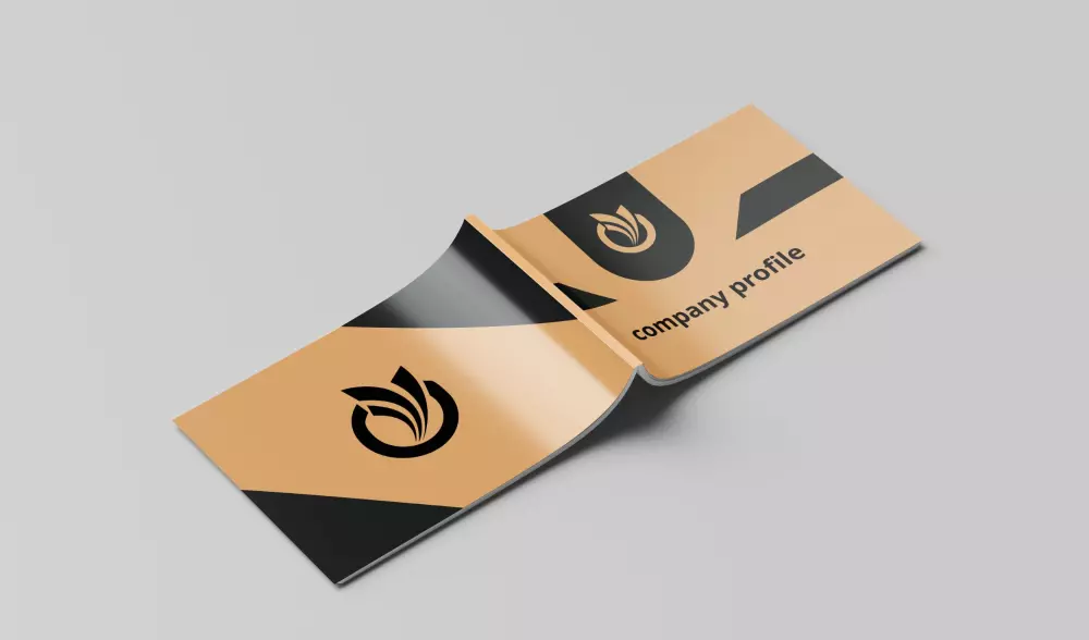 تصميم ملف تعريفي إحترافي ومميز . company profile