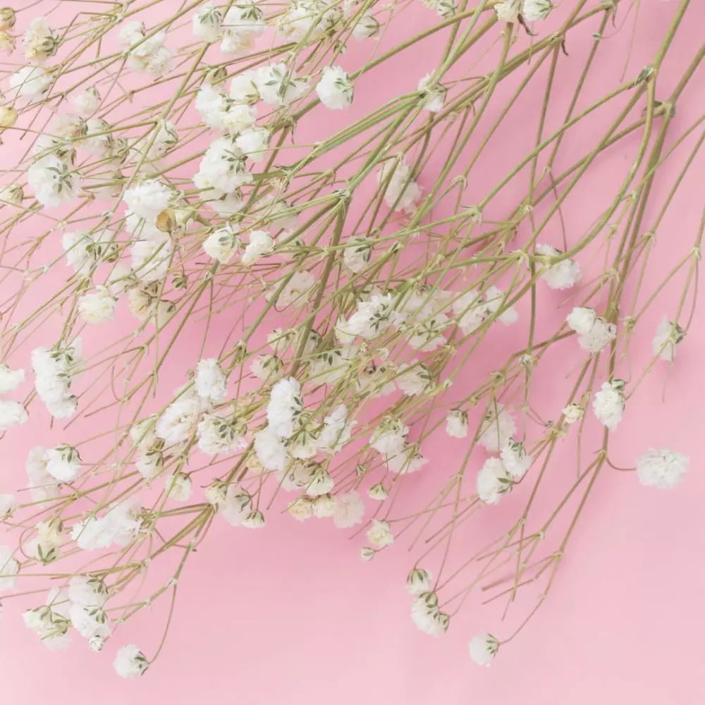 اداره حسابات السوشال ميديا