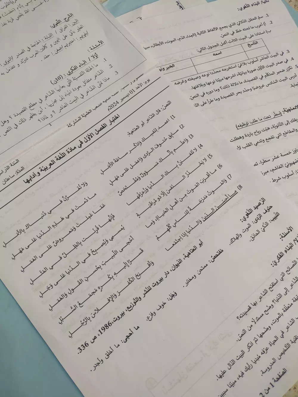 تدقيق لغوي ومراجعة للمقالات والنصوص والمذكرات، كتابة مواضيع الامتحانات وإجابتها النموذجية