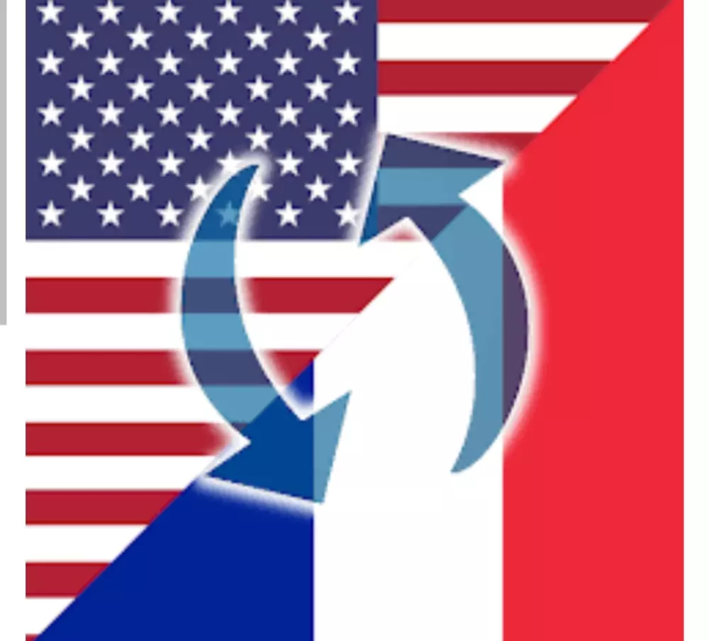 ترجمة فورية ف جميع المجالات من الفرنسية الي الإنجليزية والعكس ايضا