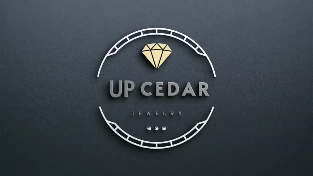 تصميم لوجو احترافى