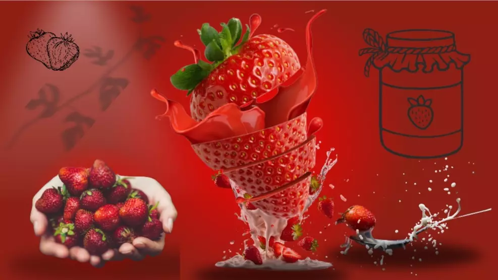 تصميم شعار احترافي