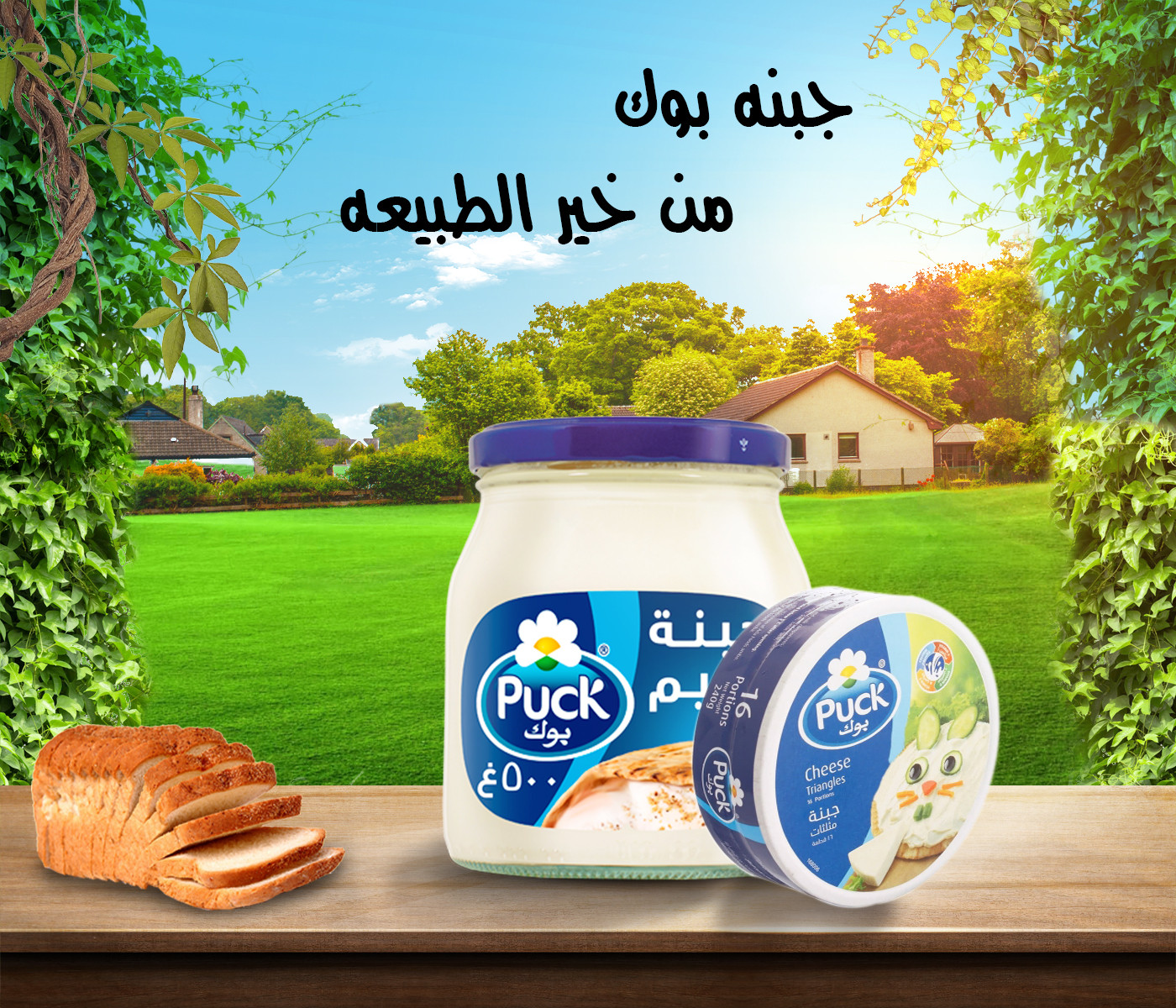 تصميم سوشيال ميديا