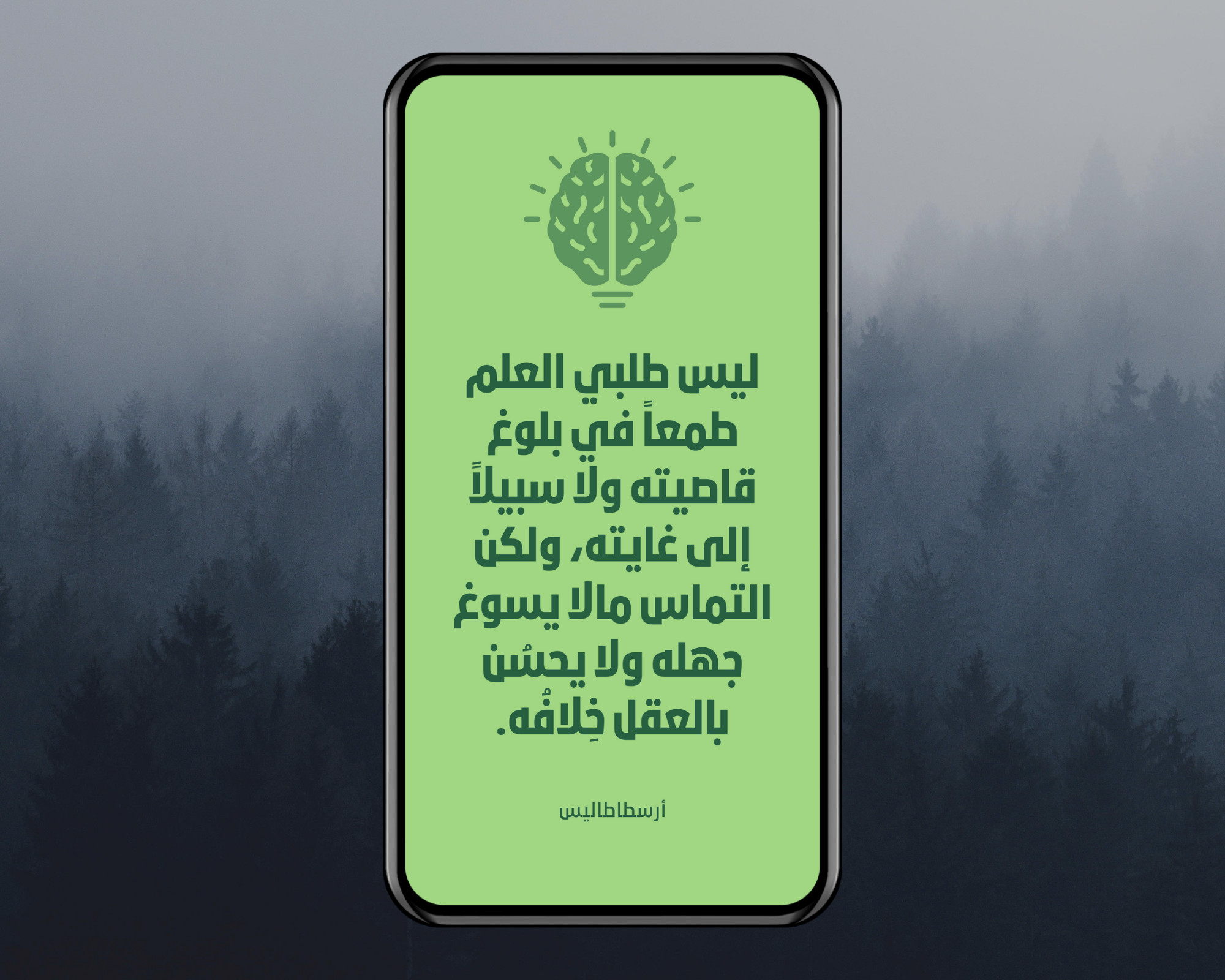 تصميم قصص (stories) بواسطة كانفا Canva.