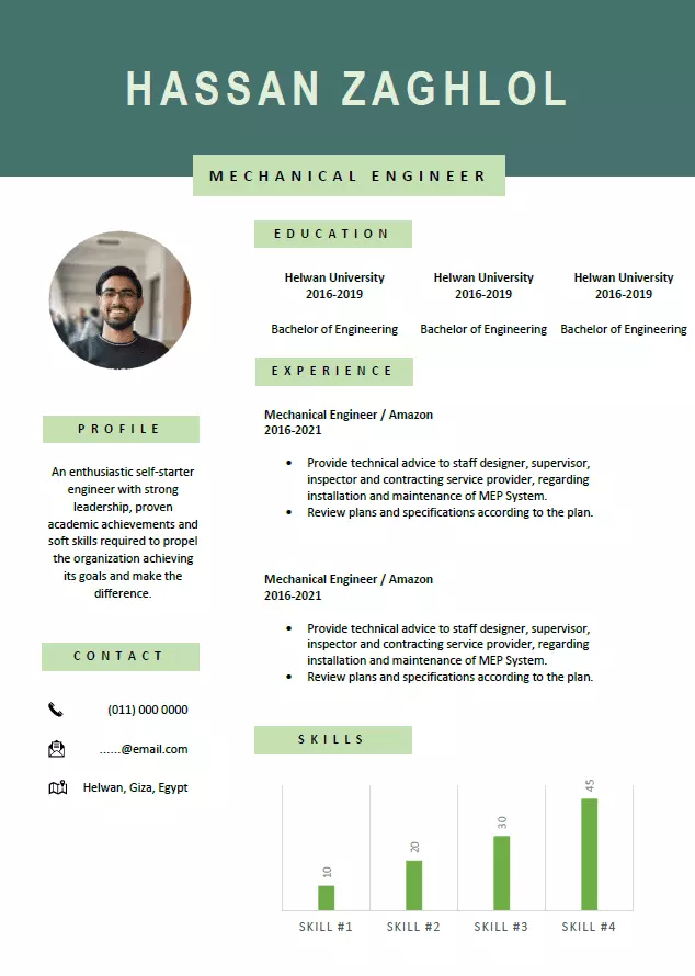 كتابة وتصميم سيرة ذاتية احترافية CV