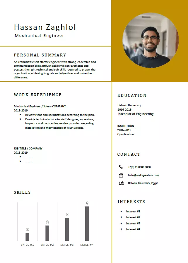 كتابة وتصميم سيرة ذاتية احترافية CV