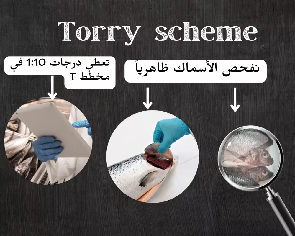 تصميم سوشيال ميديا