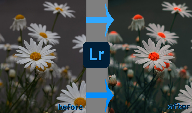 التعديل على الصور بواسطة برنامجي لايت روم وفوتوشوب