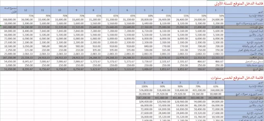 "إعداد دراسة جدوى احترافية وشاملة (تشغيلية، اقتصادية، قانونية) مع تحليل مالي دقيق"
