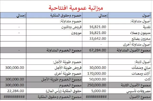 "إعداد دراسة جدوى احترافية وشاملة (تشغيلية، اقتصادية، قانونية) مع تحليل مالي دقيق"