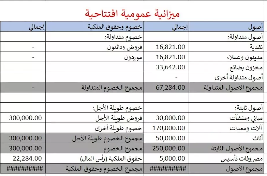 "إعداد دراسة جدوى احترافية وشاملة (تشغيلية، اقتصادية، قانونية) مع تحليل مالي دقيق"