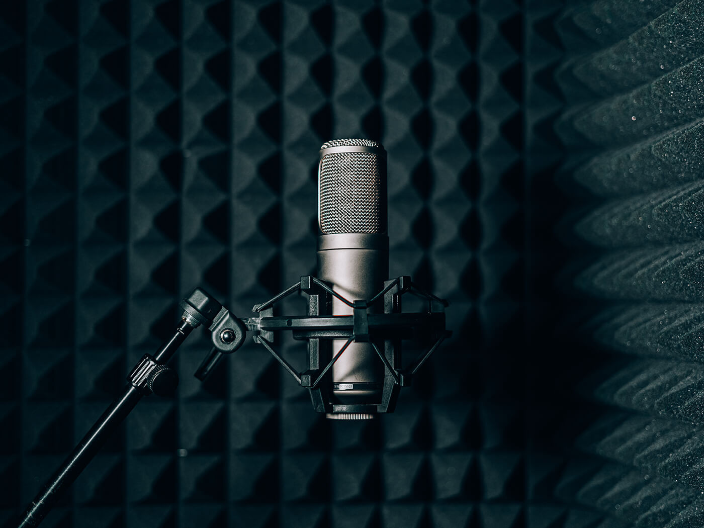 التعليق الصوتي باللغة العربية بلهجاتها المتنوعة