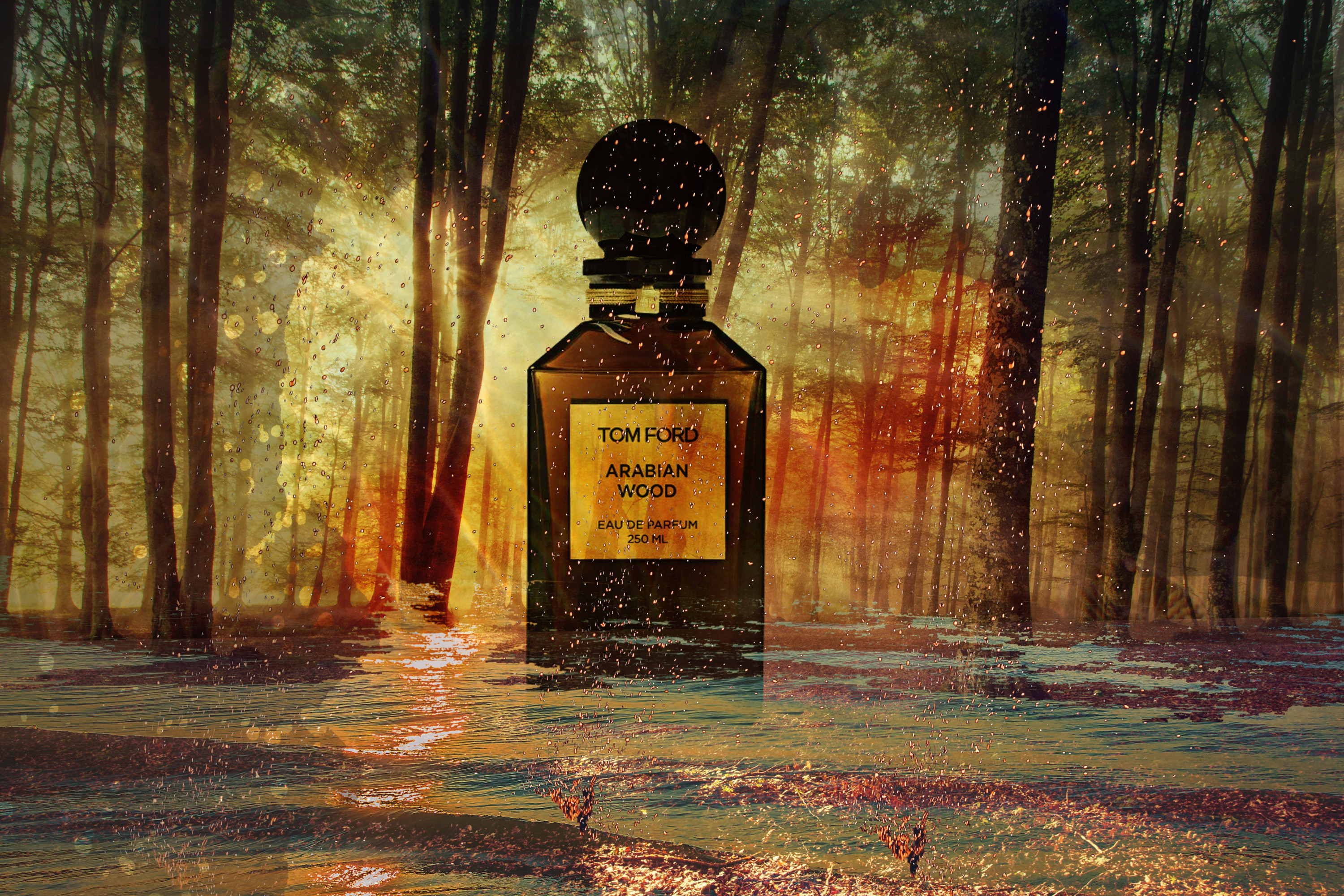 تصميم سوشيال ميديا احترافي