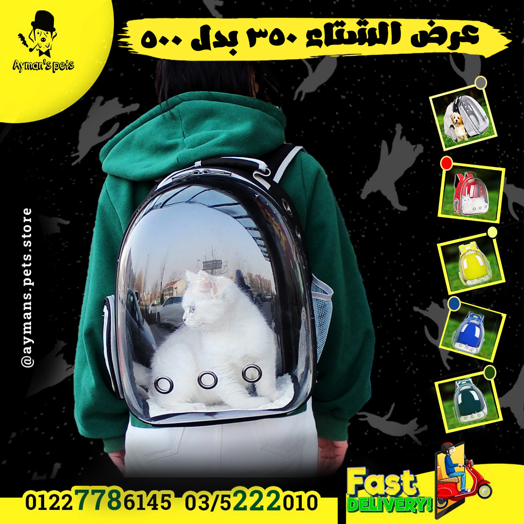 تصميمات سوشيال ميديا أحترافيه