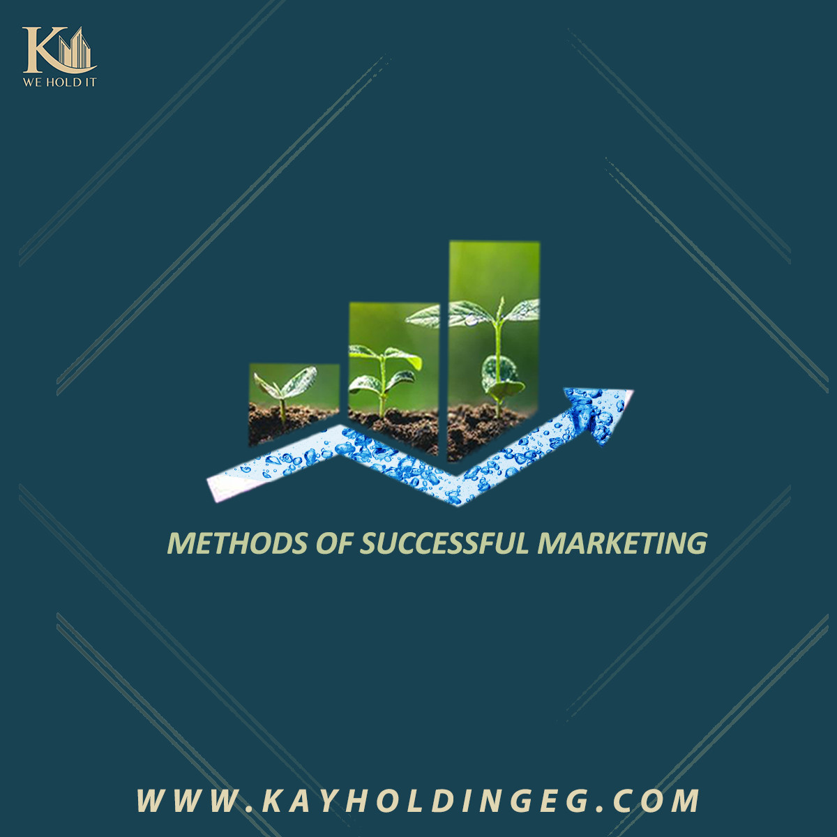 تصميمات سوشيال ميديا أحترافيه