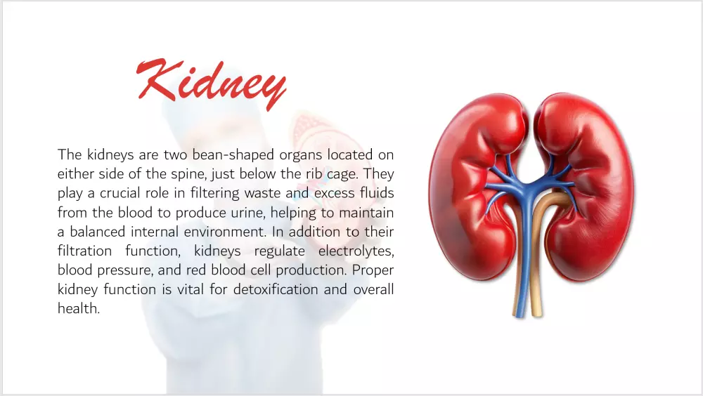 تصميم عرض تقديمي يحول بحثك إلى تجربة بصرية مبهرة