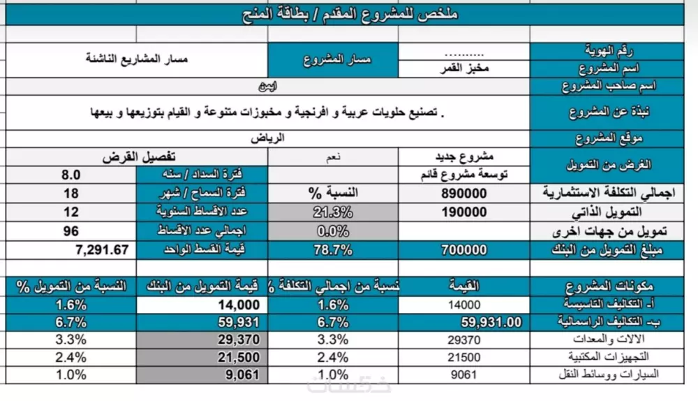 دراسة جدوى اقتصادية إحترافية لمشروعك