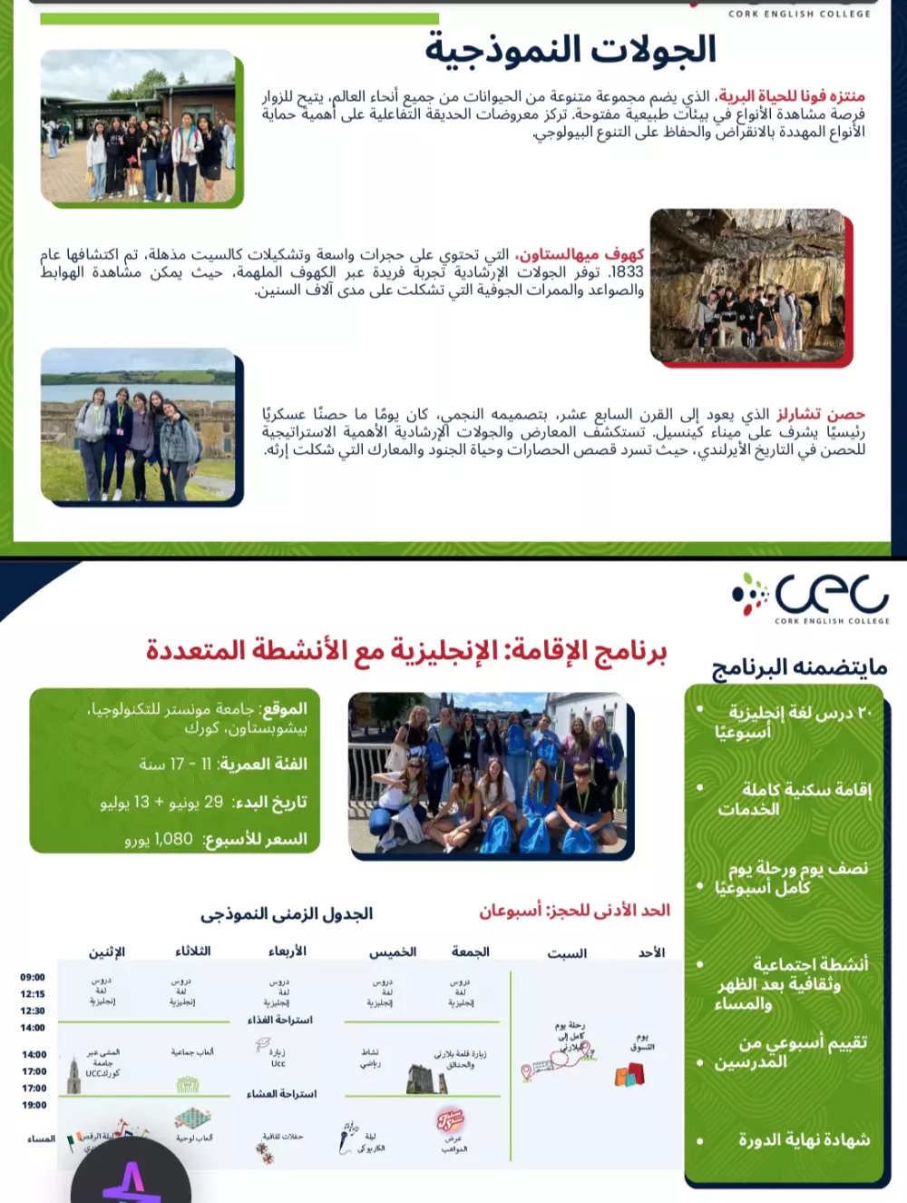 ترجمة احترافية من اللغة الإنجليزية الى اللغة العربية