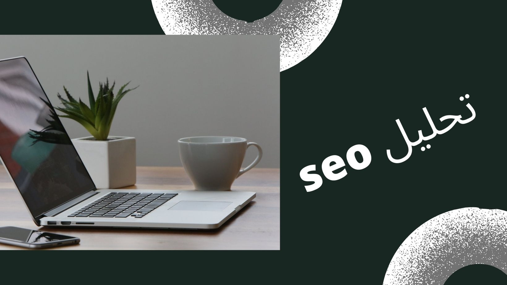 تحليل سيو شامل للموقع