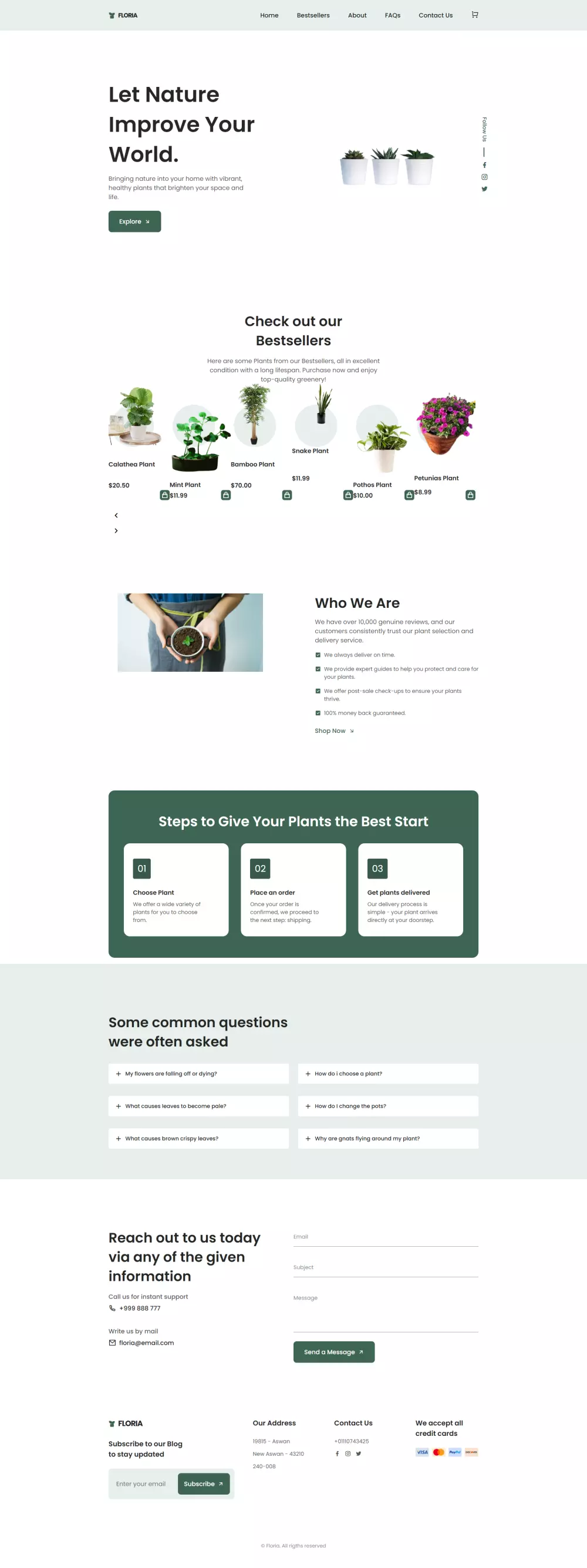 تصميم صفحة هبوط landing page
