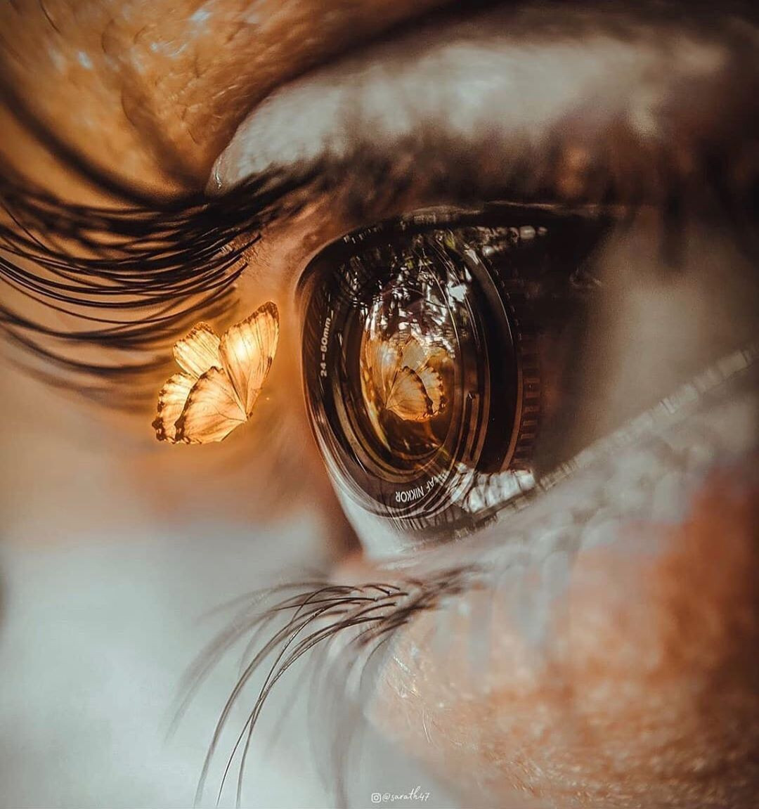 شرح كل ما يتعلق بمجال البصريات