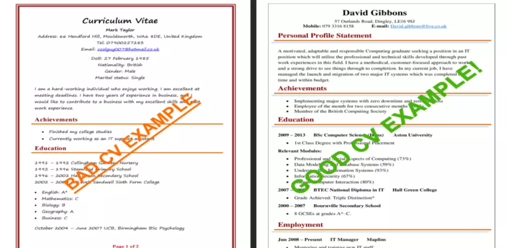 تصميم سيرة ذاتية CV احترافية