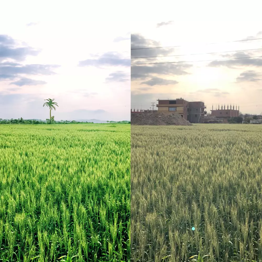 تعديل  3 صور من تصحيح ألوان او تغيرها وازالة الشوائب و أي شيء غير مرغوب فيه و تغيير ملابس الأشخاص و تعابير وجههم